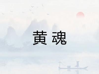 黄魂
