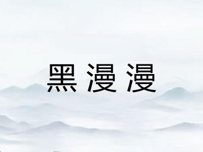 黑漫漫 黑漫漫