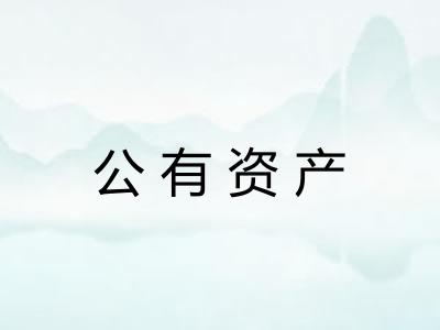 公有资产 公有资产