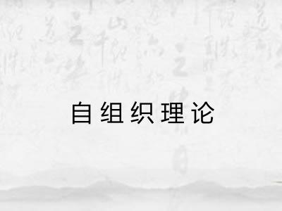 自组织理论 自组织理论