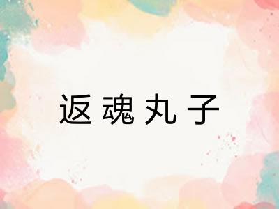 返魂丸子 返魂丸子