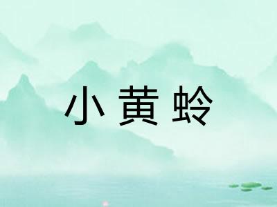 小黄蛉