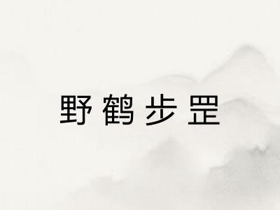 野鹤步罡 野鹤步罡
