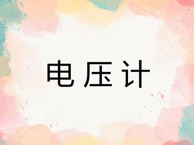 电压计 电压计