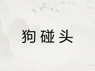 狗碰头