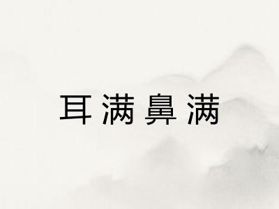 耳满鼻满 耳满鼻满