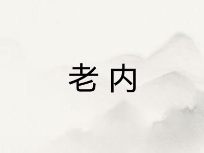 老内