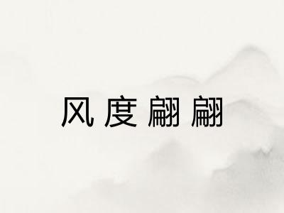 风度翩翩 风度翩翩