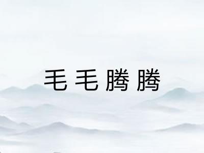 毛毛腾腾 毛毛腾腾