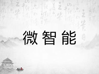 微智能