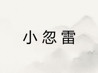 小忽雷 小忽雷