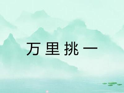 万里挑一 万里挑一