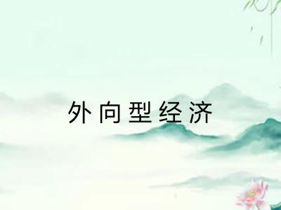 外向型经济 外向型经济