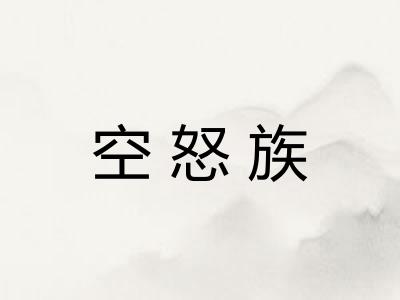 空怒族