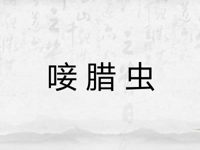 唼腊虫 唼腊虫