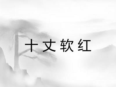 十丈软红 十丈软红