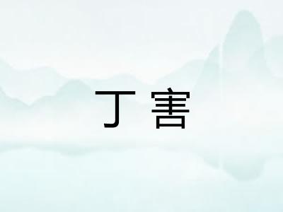 丁害