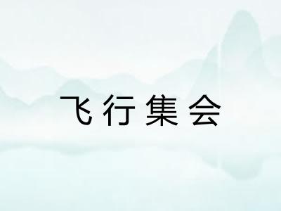 飞行集会