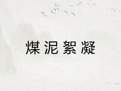 煤泥絮凝 煤泥絮凝