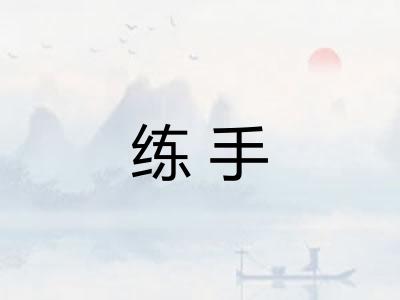 练手