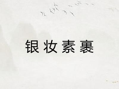 银妆素裹 银妆素裹