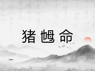 猪乸命 猪乸命