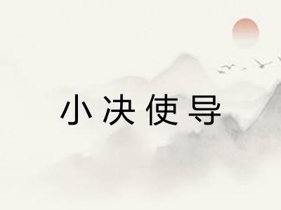 小决使导