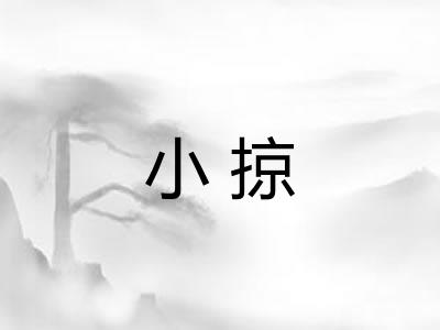 小掠 小掠