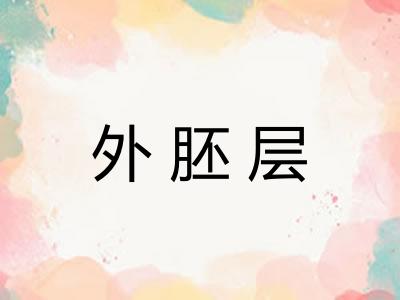 外胚层 外胚层