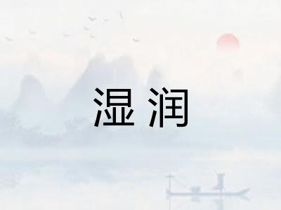 湿润 湿润