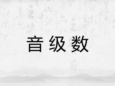 音级数