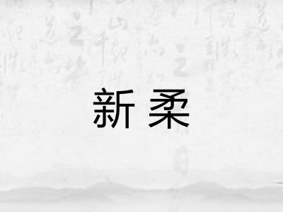 新柔