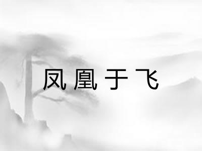 凤凰于飞 凤凰于飞