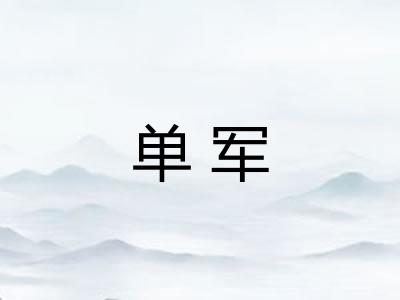 单军