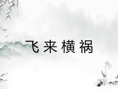 飞来横祸 飞来横祸