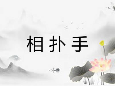 相扑手 相扑手