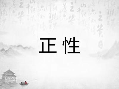 正性 正性