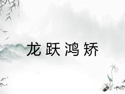 龙跃鸿矫 龙跃鸿矫