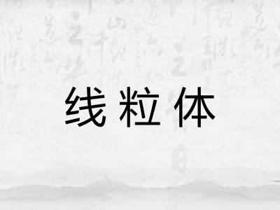 线粒体 线粒体