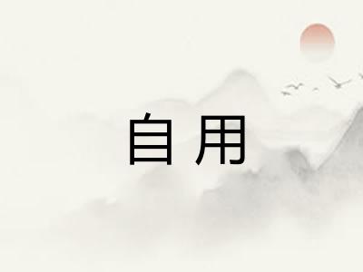 自用 自用