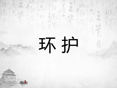 环护