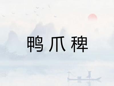 鸭爪稗