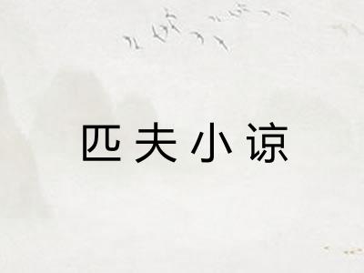 匹夫小谅 匹夫小谅