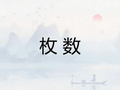 枚数 枚数