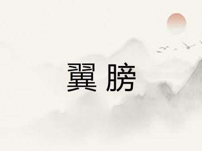 翼膀 翼膀
