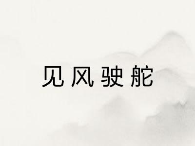 见风驶舵 见风驶舵