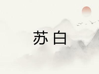 苏白 苏白