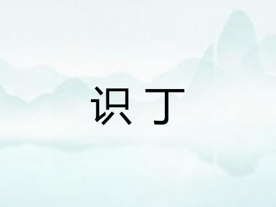 识丁 识丁