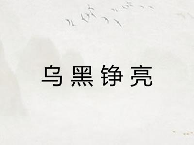 乌黑铮亮 乌黑铮亮