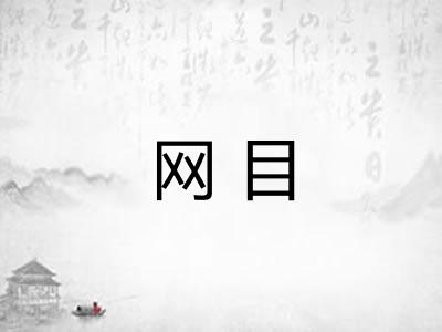 网目
